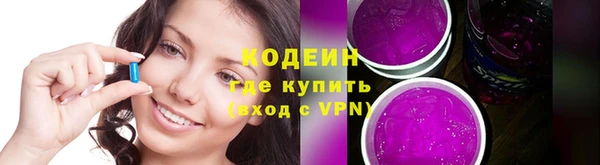 хмурый Нестеровская