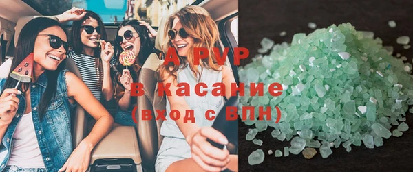 трава Гусиноозёрск