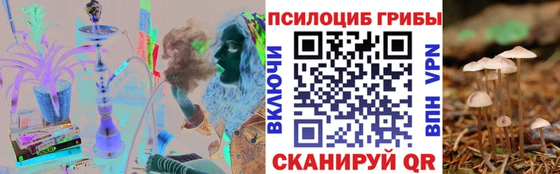 Купить закладки Дудинка Псилоцибиновые грибы мухоморы